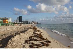 Photo Textures of Background Miami Beach